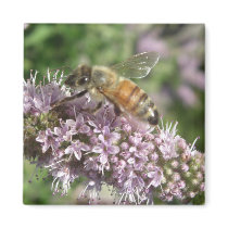 Bee on Mint Flower Magnets by wingedturtle Bee on Mint Flower Magnets