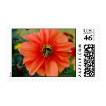 Bee on Orange postage