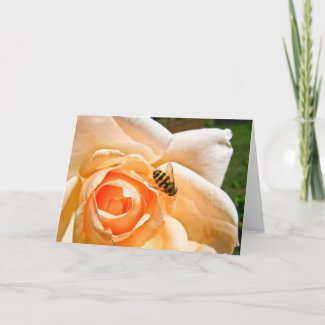 Bee on orange rose greeting card card
