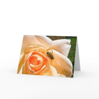 Bee on orange rose greeting card card