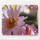 Bee on Pink Flower mousepads