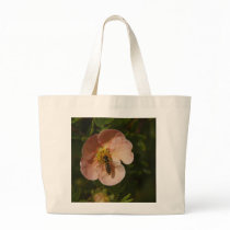 Bee on Potentilla bags