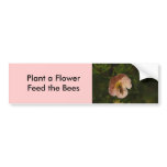 Bee on Potentilla Bumper Stickers