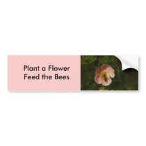 Bee on Potentilla bumper stickers