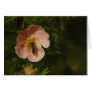 Bee on Potentilla Greeting Card