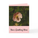 Bee on Potentilla Greeting Cards
