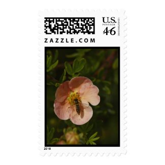 Bee on Potentilla stamp