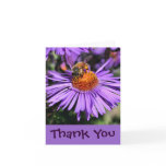 Bee On Purple Aster Floral Thank You Card
