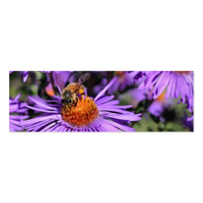 Bee On Purple Aster Flower Photo Mini Bookmark Business Cards by SmilinEyesTreasures