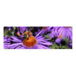 bookmark, book, mark, place, holder, keeper,
