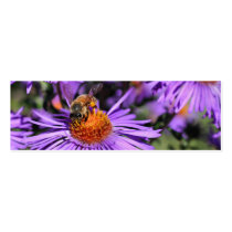 Bee On Purple Aster Flower Photo Mini Bookmark business cards