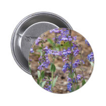 bee on sage buttons