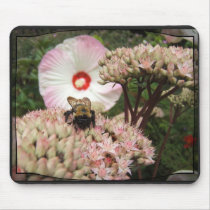 Bee on Sedum 11 ~ mousepad