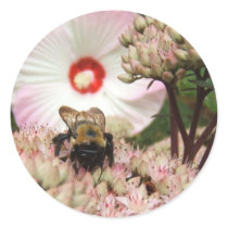 Bee on Sedum ~ sticker