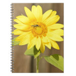Bee on Sunflower Spiral Notebook