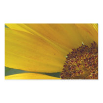 Bee on Sunflower Sticker