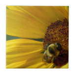 Bee on Sunflower Tiles