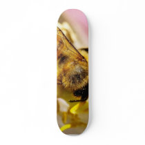 Bee On The Meyer Lemon Tree In My Balcony skateboards by lifesphere Bee On The Meyer Lemon Tree In My Balcony skateboards