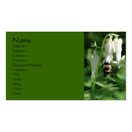 Bee On White Columbine Flower Business Card (front side)