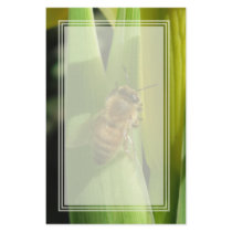 Bee on White Flower Blank Stationery