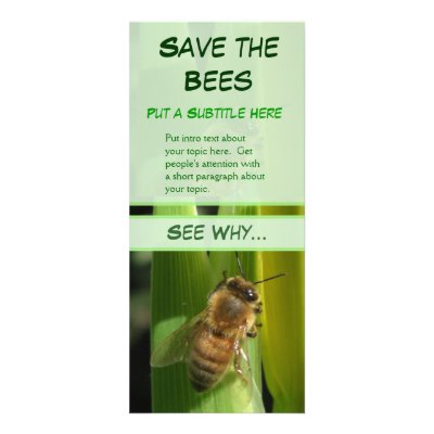 Bee on White Flower Business Advert Rack Cards by wingedturtle