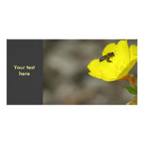 Bee Photo Card