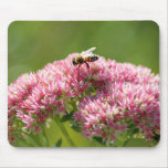 Bee Photo Standard Mousepad mousepads