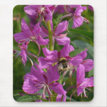 Bee Pollenating Fireweed Blossoms, Unalaska Island Mousepads