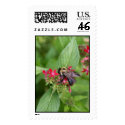 bee postage