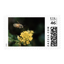bee postage by WorldDesign bee postage