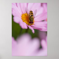Bee Poster