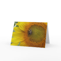 Bee Settling In Cards