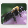 Bee Sides Mousepad