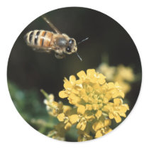 bee stickers