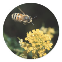 bee stickers