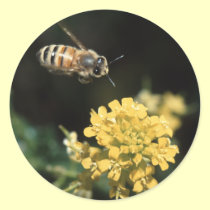 bee stickers