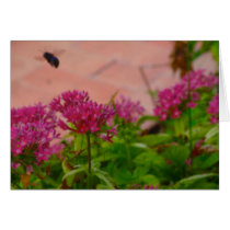 Bee Taking Off Cards