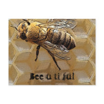 Bee u ti ful postcards