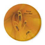 Bee View Magnet Bee View Magnet