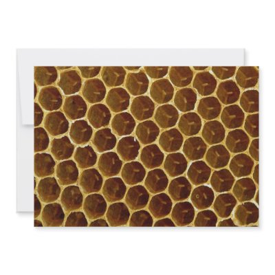 Bee wax comb personalized invitations by inspirelove
