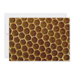Bee wax comb invitations