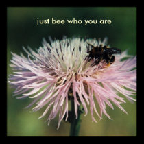 Bee who you are posters