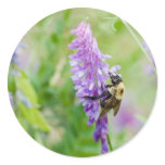 bee with color sticker