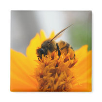Bee With Me magnets