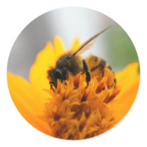Bee With Me stickers