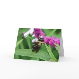 Bee with Velvet Flowers Greeting Card card