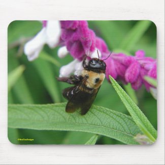 Bee with Velvet Flowers Mousepad mousepad