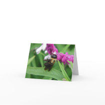 Bee with Velvet Flowers Note Card