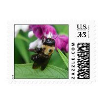 Bee with Velvet Flowers Postage postage