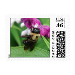 Bee with Velvet Flowers Postage